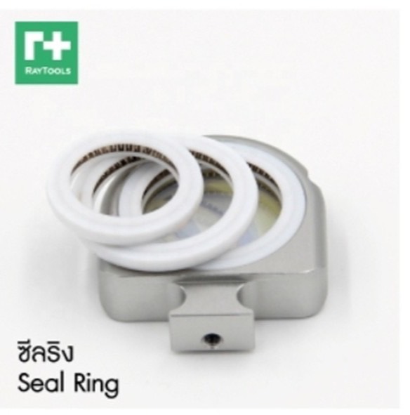 Seal Ring